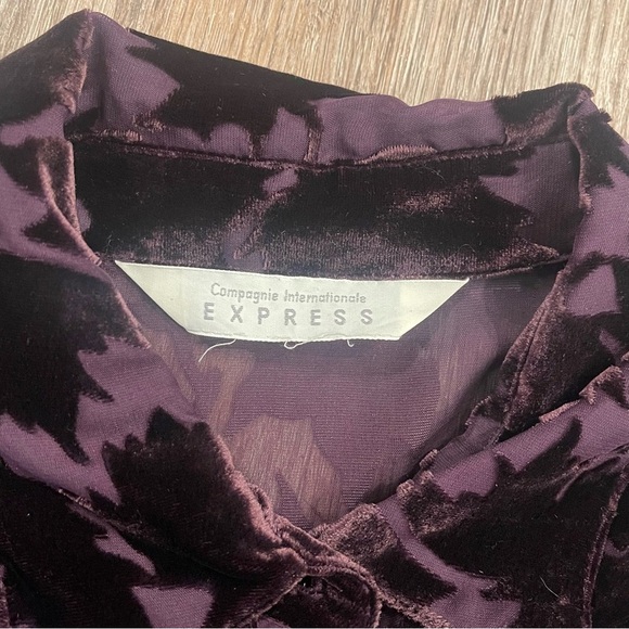 Vtg Express Women’s Small 90s Silk Blend Sheer Velvet Burnout Plum Whimsigoth - Picture 5 of 8